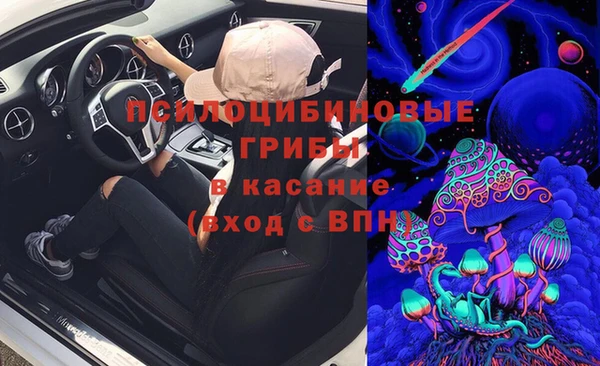 бошки Абинск