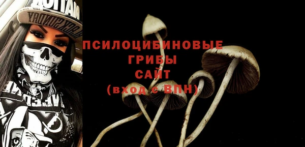 соль курить ск Абаза