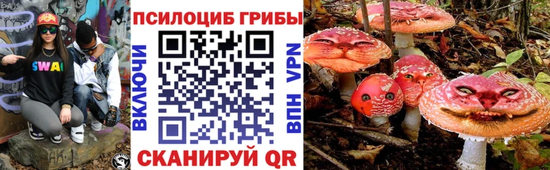 Галлюциногенные грибы GOLDEN TEACHER  Новосибирск 